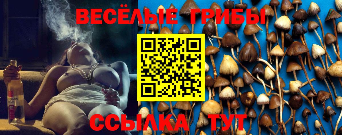 Галлюциногенные грибы Psilocybine cubensis  Вход с VPN  Тейково 